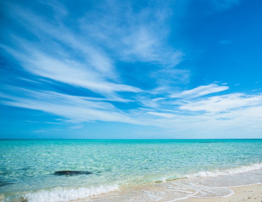 ocean cay marine reserve